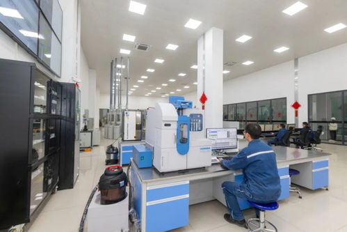 锚定高端化发展方向，炼钢厂技术开发成果丰硕