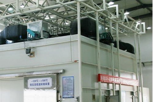 环境试验与技术服务 剖析行业领先公司的专业优势